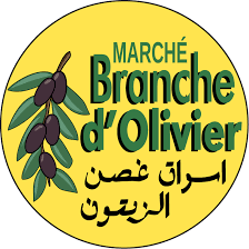BRANCHE D'OLIVIER